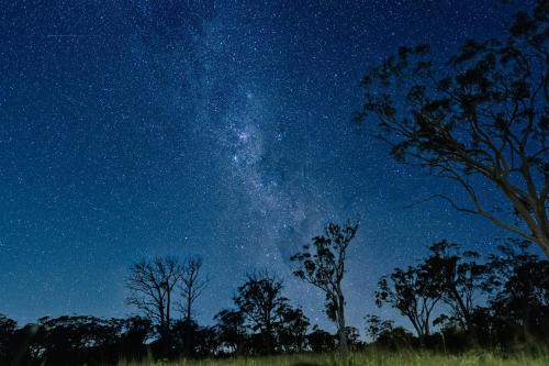 High Range Cabina | Scribbly Farm, Boutique Southern Highlands Accommodation