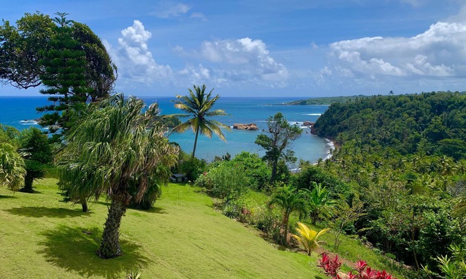 Calibishie Cabaña | Sea Cliff Eco-Cottages & Gin Distillery