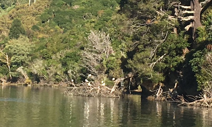 Anakiwa Casa | Marina - vistas al mar que se pueden alcanzar y tocar