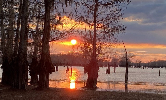 Taylor Casa | Secluded Shades of Blue Lake Bistineau Sunsets Sleeps 19