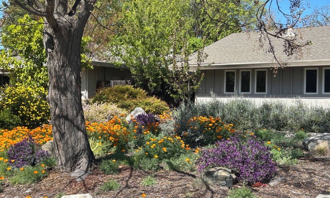 Covell Park Casa | Serene 3BR Oasis in Davis: Bike-Friendly Haven Near UC Campus