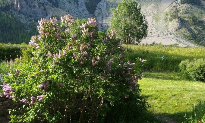 Nevache Casa | Varios apartamentos / casas en alquiler en un hermoso valle en Francia