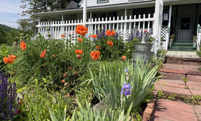 Morgan Cama Y Desayuno | Seymour Lake Lodge