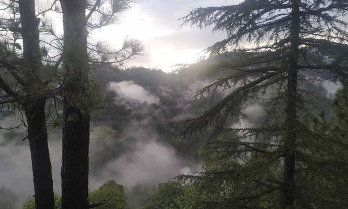 New Shimla Cabaña | Shantivan...The hidden heaven