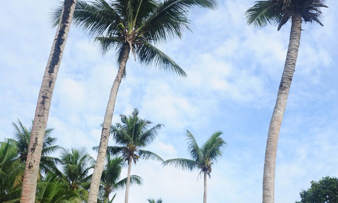 Koror Apartamento | shell villa apartel resort