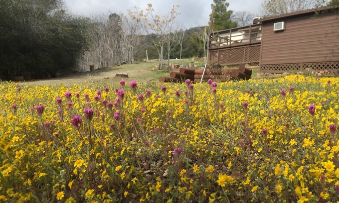 Wofford Heights Cabina | Retiro de Shirley Creek: un oasis de montaña