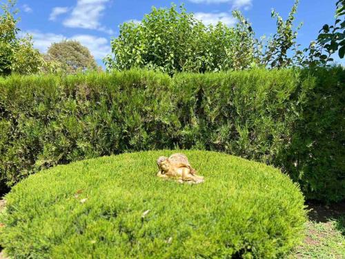 Sikia Apartamento | Sias Cozy House