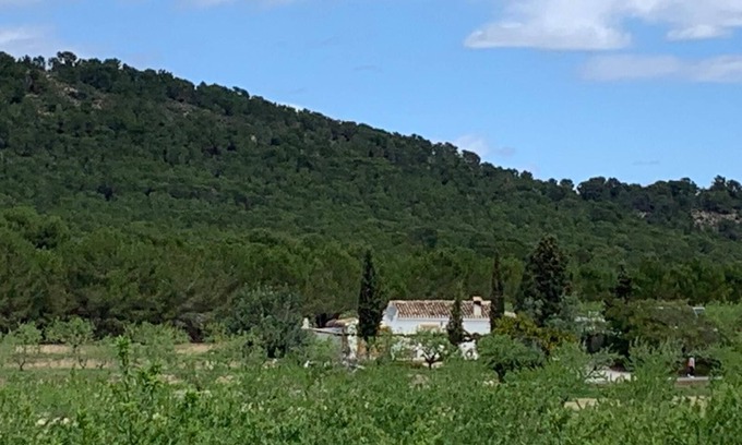 Pliego Cabaña | Casa Rural Sierra Espuña rodeada de naturaleza (apta para mascotas)