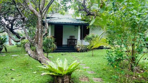 Dambulla Hotel | Sigiri Suncap Cottage