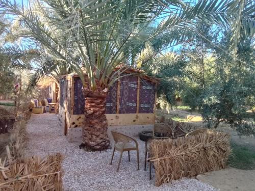 Siwa Cabina | Siwa Gardenia Cottage اكواخ سيوة جاردينيا