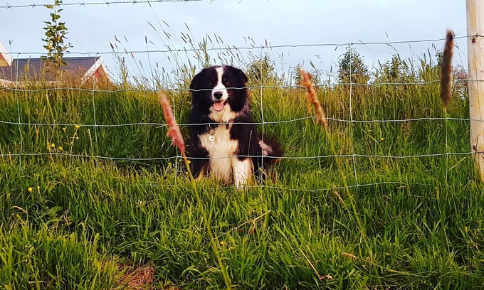 Selfoss Casa | Skálatjörn Guesthouse