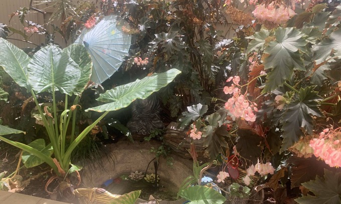 Woodcroft Casa | Southern suburb living in South Australia!!!