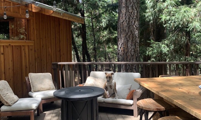 Rough and Ready Cabaña | Spa getaway forest cottage