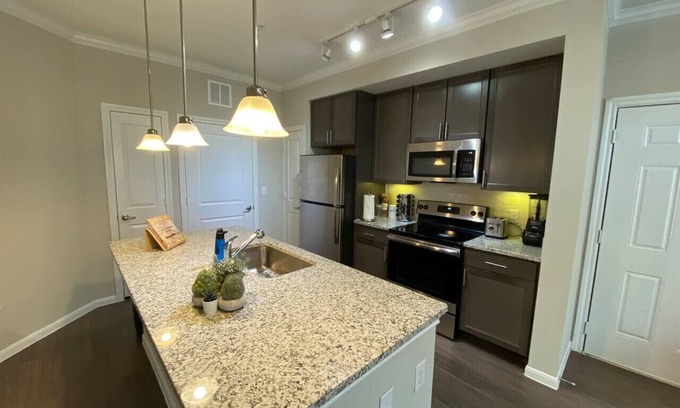 Spring Apartamento | Spring Cozy Modern 1BR Longterm stay