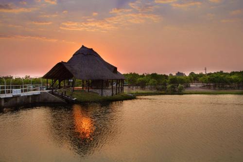 Harare Hotel | Stephen Margolis Resort