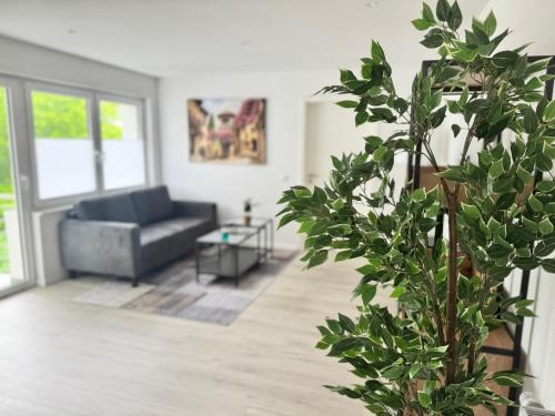 Sandhausen Apartamento | Stilvolle Wohnung in Sandhausen