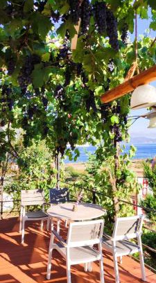 Udenisht Otro | Stone dream