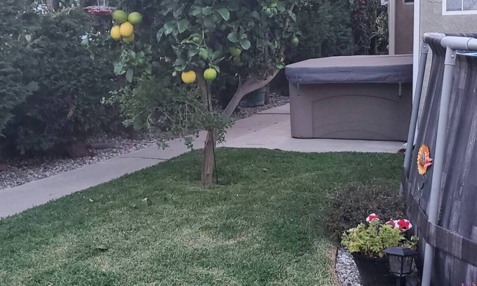 Lawndale Apartamento | Studio in Southbay close to the beach SoFi stadium LAX