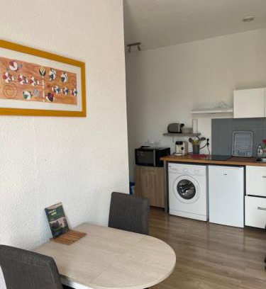 Salies-de-Bearn Apartamento | Studio lumineux au calme en centre ville, face aux thermes