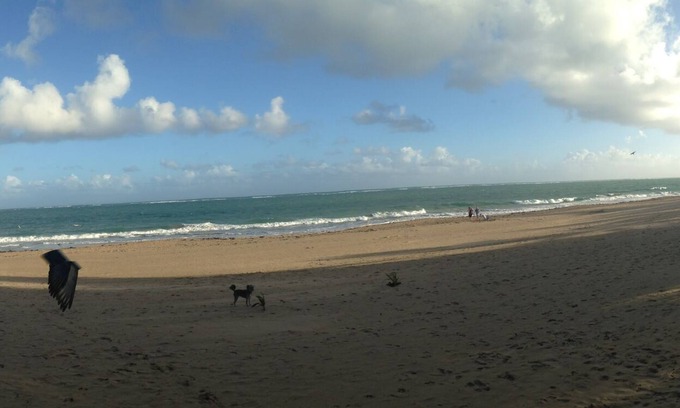 Parque Apartamento | Studio @ White House By The Beach, con mucha luz solar y aire fresco.