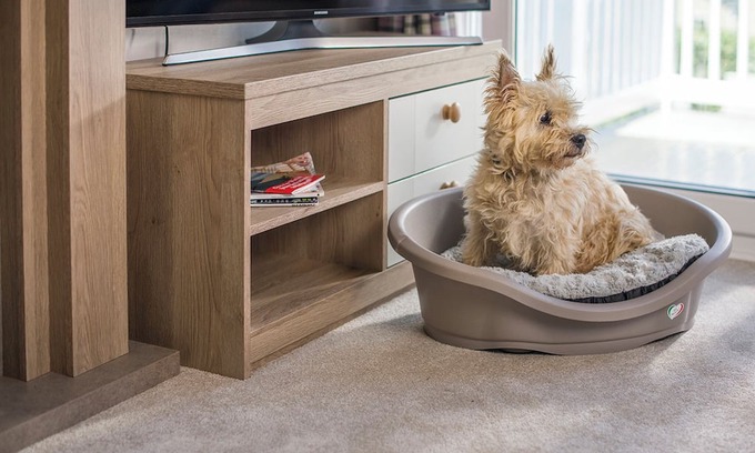 Holywell Casa | Stylish Comfort 3 (Pet)