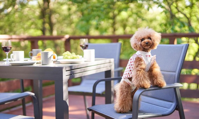 Nasu Casa | Suite Villa Nasukogen Doggy's Ohana