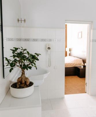 Chisinau Hotel | Summit Villa