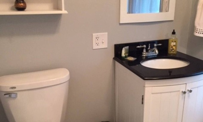 Oak Park Apartamento | Sunny Coach House in Historic Oak Park