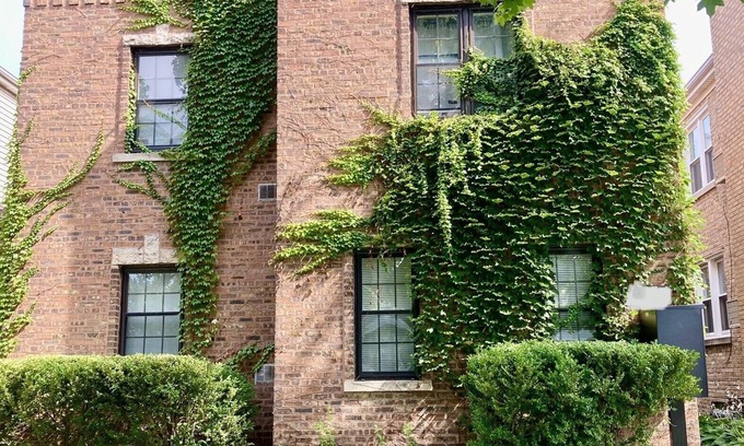 Evanston Apartamento | Sunny Evanston Studio: Stylish Decor, Hardwood Floors, Fenced Yard & Parking