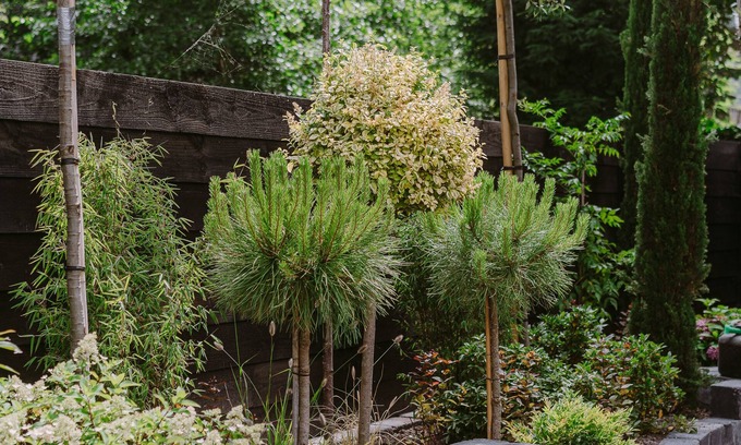 Oude Westen Hotel | Supernova Hotel