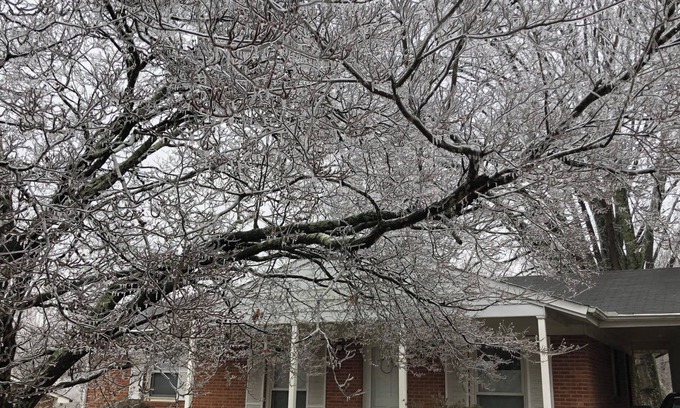 Greensboro Casa | Sweet Haven - Serene 3BR Family Retreat - Trees, Trails, Convenient Location