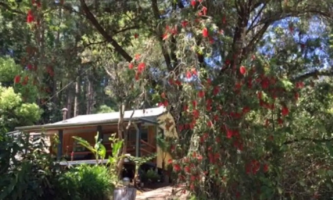 Upper Burringbar Casa | Sweetwater Cottage. A mountain escape. Near the Rail trail for bikes.