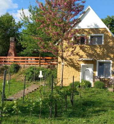 Baj Casa | Szőlőskert Vendégház