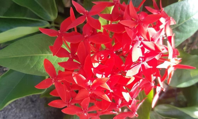 Punaauia Apartamento | Tahiti Yorema Studio