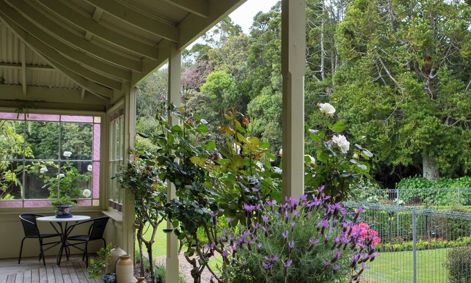 Hawera Cabina | Tairoa Lodge & Cottage