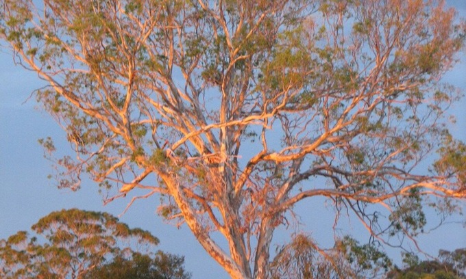 Bumberrah Casa | Tambo Trails por el Ringbark