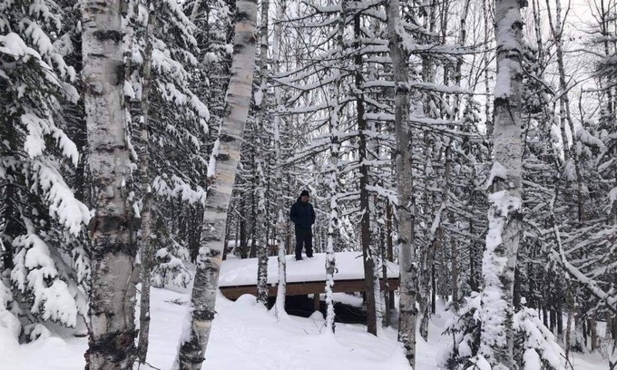 Baie-St-Paul Chalet De Esquí | Microcabin dens in the Charlevoix forest