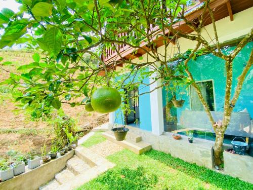 Deraniyagala Casa | Tea cabin by Hoyts