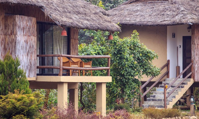 Kawasoti Hotel | Temple Tiger Green Jungle Resort