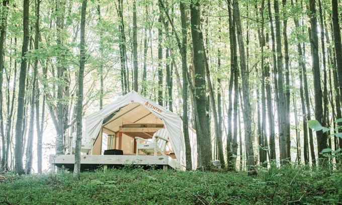 Waymart Alquiler De RV | Tentrr - Campamento de árboles huecos