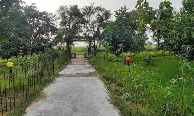 Nepal Complejo | Tharu Mango Garden Resort