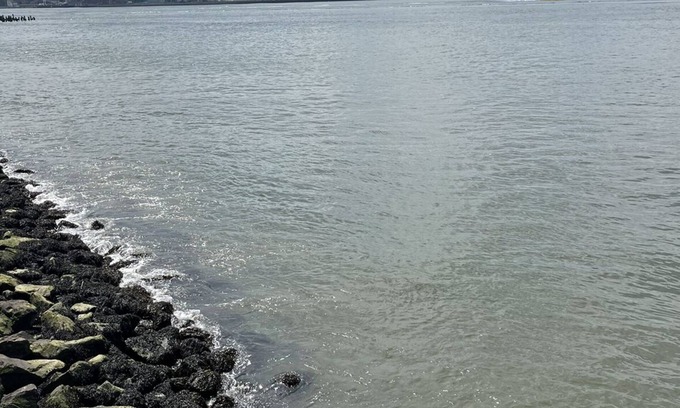 Greenpoint Apartamento | The Best Views In Brooklyn