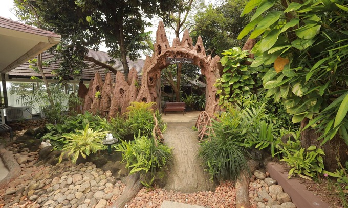 Quilon Complejo | The Brook Serene