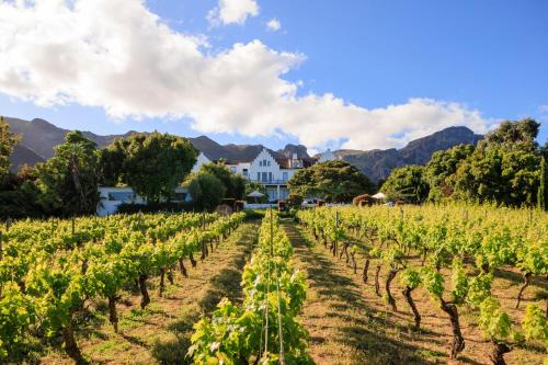 Constantia Hotel | The Cellars-Hohenort