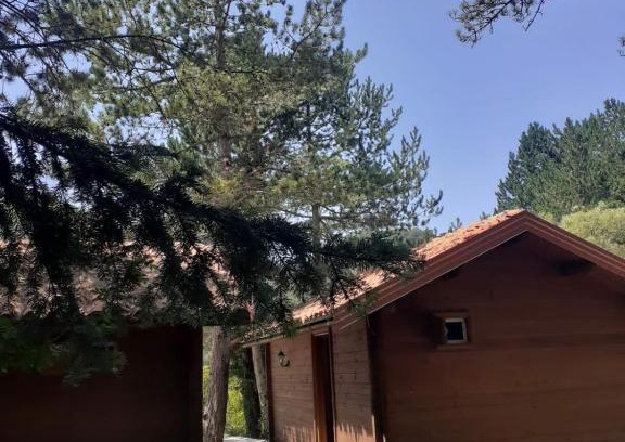 Llogara National Park Chalet De Esquí | The Chalet, Iliria Llogora