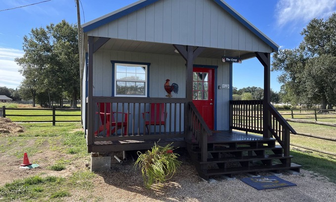 Scott Apartamento | The Coop. A lil taste of country with horses and chickens.