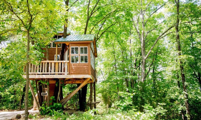 Hermann Cama Y Desayuno | The Cottage Treehouses