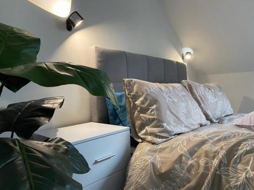 Tamworth Casa | The Cottontail - Modern Private Room With Breakfast - Tamworth