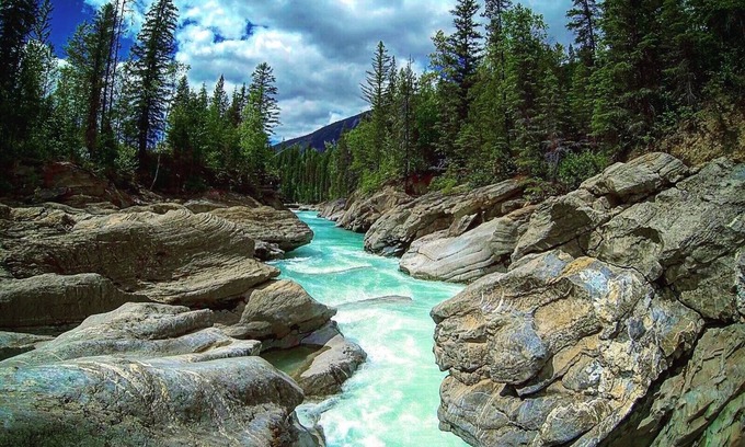 Golden Cabina | The Forest Cabin
