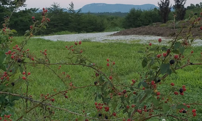 Westfield Casa | La cabaña verde en el sendero de Luna